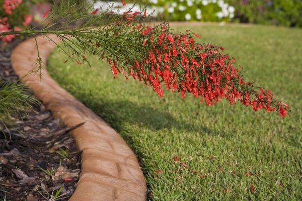 Brick Edging in Rochester