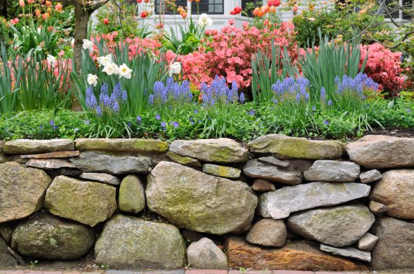 Stone Wall Hardscaping in Rochester